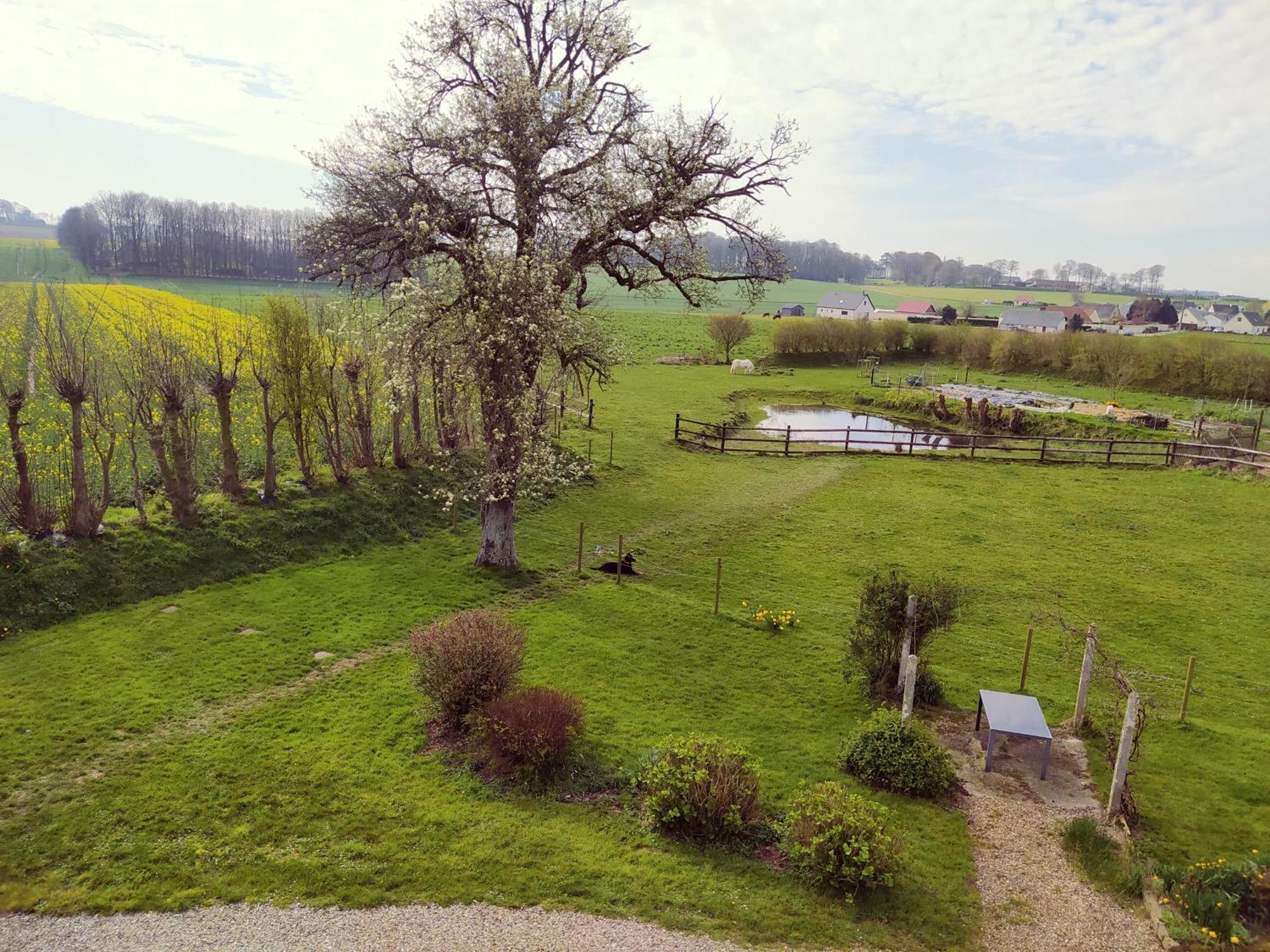Maniquerville Chambres D'Hotes " Le Clos Des Colimacons " מראה חיצוני תמונה